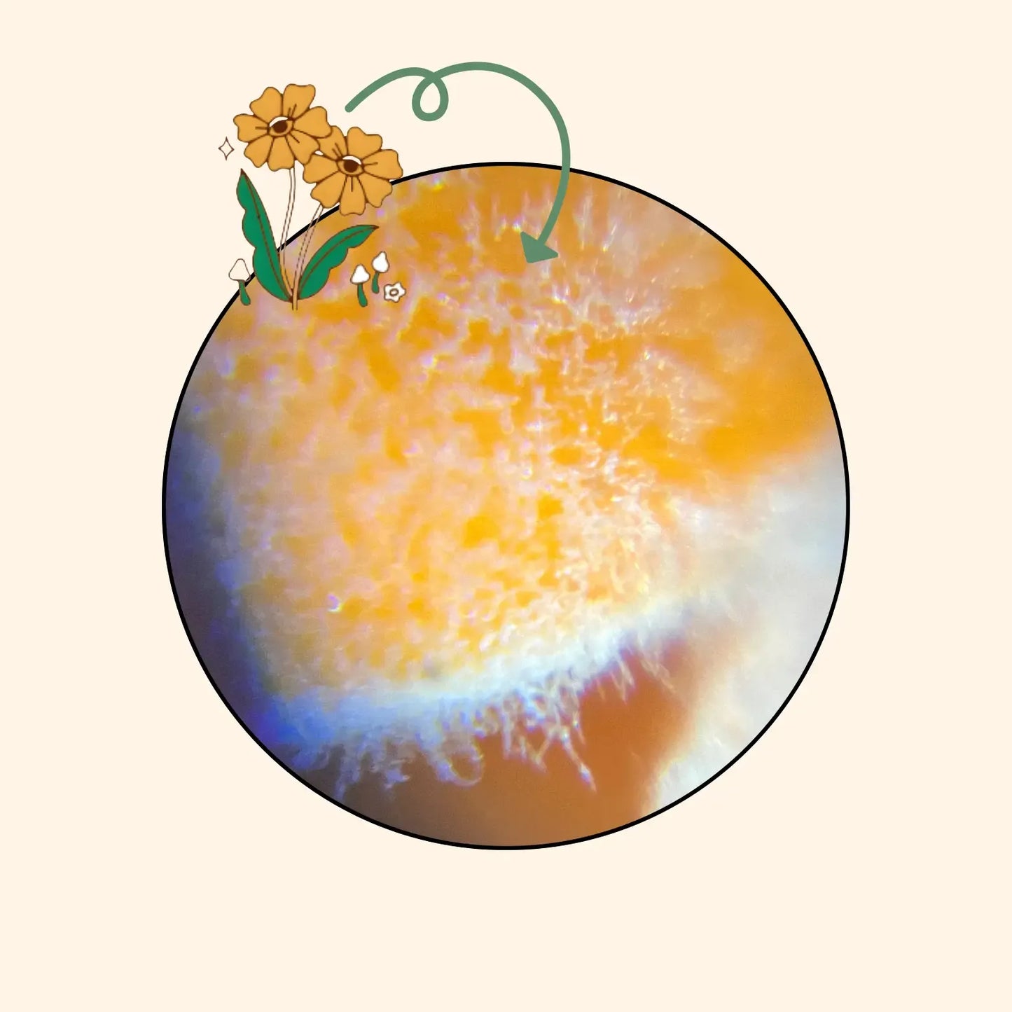 El Chiquiscopio™ - Explora el Mundo Microscópico